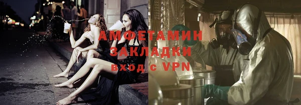 прущие грибы Каменногорск