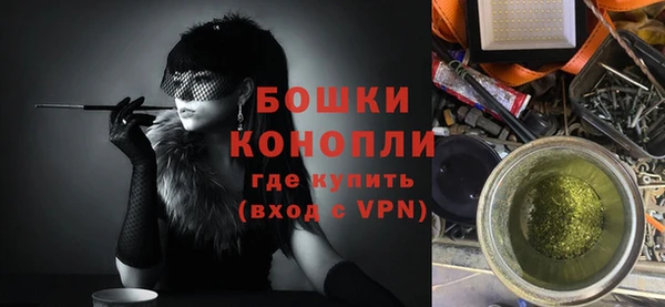 прущие грибы Каменногорск