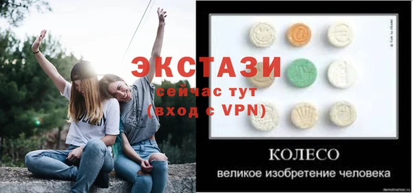 прущие грибы Каменногорск