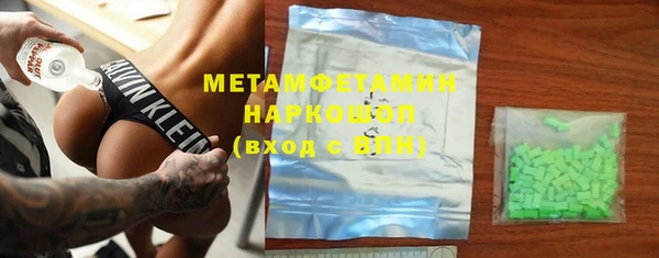 прущие грибы Каменногорск