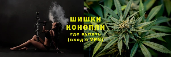 прущие грибы Каменногорск