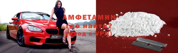 прущие грибы Каменногорск