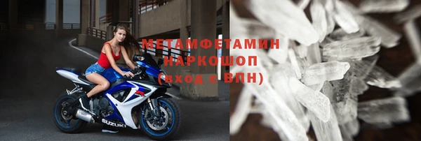 прущие грибы Каменногорск