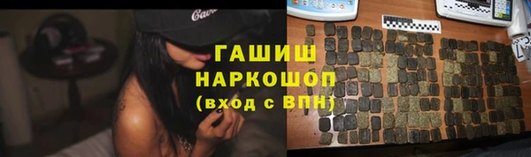 прущие грибы Каменногорск