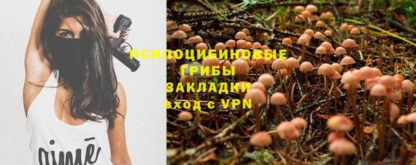 мдма Каменка