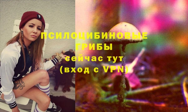 гидропоника Каменск-Шахтинский