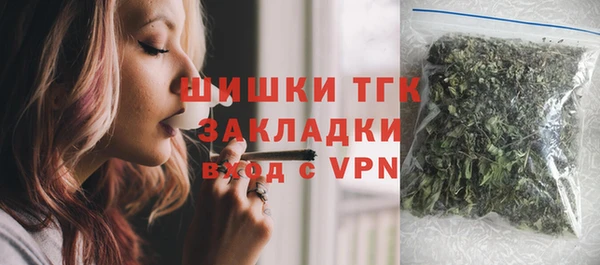 прущие грибы Каменногорск