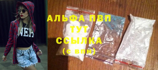 прущие грибы Каменногорск